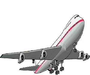 Bird in a plane's engine.